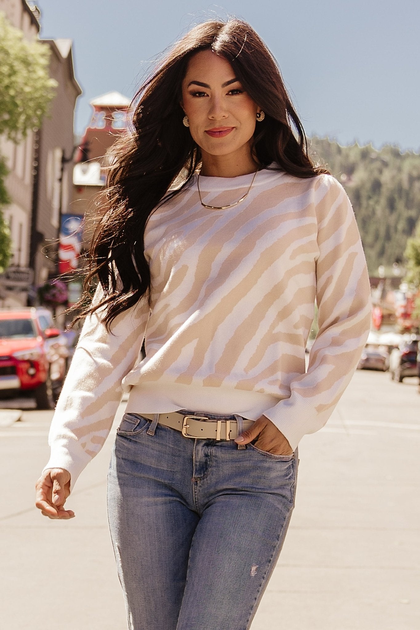 Oatmeal Zebra Print Sweater - Soft Knit High Neck Pullover